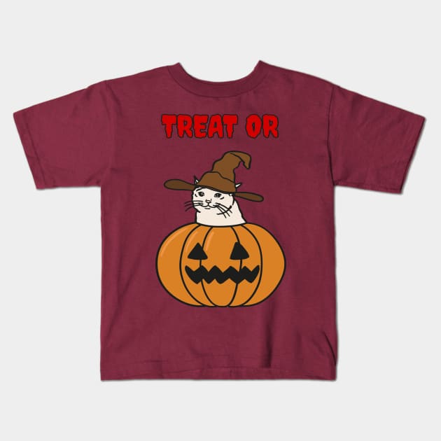 Halloween crying Cat in A Wizard Hat Kids T-Shirt by strangelyhandsome